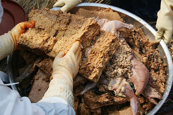 한국 전통 장, 시간과 영혼을 담은 맛의 과학