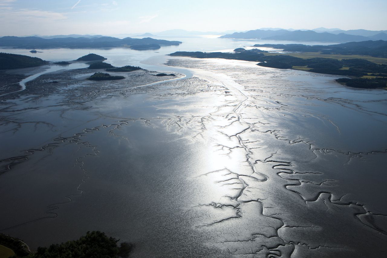 한국 서헤안 갯벌 전경 Mudflat
